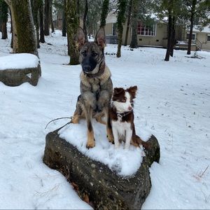 Meet your Posher, Garrett